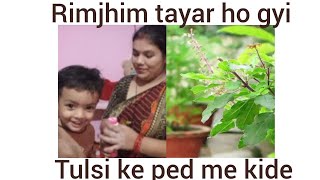 rimjhim tayar ho gyi tulsi ke ped me kide kaise hataye please comment kar ke bataye vlog 🙏 [upl. by Erika]