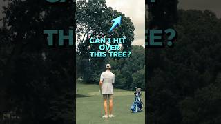 Golfer hits shot over tree golfshots shorts golfhighlights [upl. by Hajidahk56]