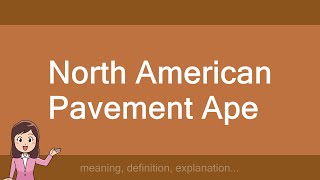 North American Pavement Ape [upl. by Eidnew783]