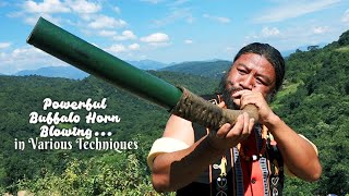 Various Buffalo Horn Blowing Techniques  by a powerful blower  Th Rainii Poumai [upl. by Teyugn]