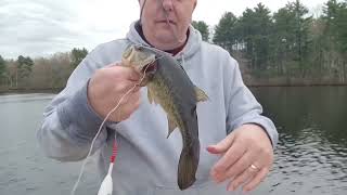 Early Spring Fishing for Warmwater and Coldwater Fish Trout  Bass [upl. by Adlemy]