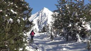 Skitour von Seewald zum Gschwandtkopf 18122018 [upl. by Odla]