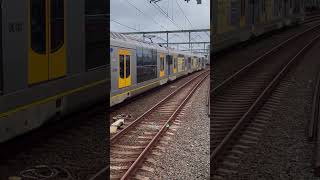 Tangara  T53  Passing through Macdonaldtown Station HORN [upl. by Vihs]