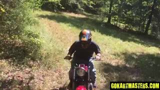 TrailMaster Mini Bike Preview  Mini Bike For Sale  GoKartMasterscom [upl. by Darken]