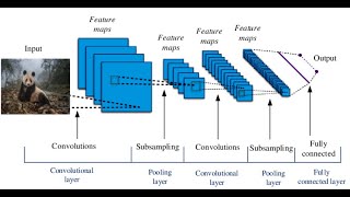 Convolutional Neural Networks شرح بالعربي الشبكات العصبية التلافيفية [upl. by Evilc]