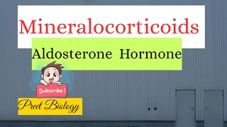 Mineralocorticoids Aldosterone Hormone [upl. by Hardner]