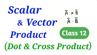 Scalar amp Vector product  Dot amp Cross Product  Vectors  Maths  12th HSC Science [upl. by Kalb]