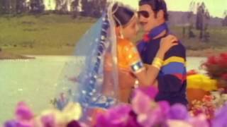 Ee Gaalilo Full Video Song  Agni Parvatam Movie  Krishna Radha Vijayashanti [upl. by Dalpe]