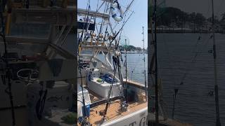 Getting ready to head out fishing blackfin express boat fishing [upl. by Cyrillus]