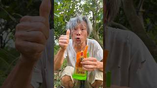 Eat spicy candy in the forest survival bushcraft camping hacks [upl. by Anirda]