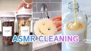 1 Hour ⏳ ASMR 🔊 CLEANING 🧼 RESTOCKING 🍉 ORGANIZING 🧃 TIKTOK COMPILATION ✨ SATISFYING 10 [upl. by Ginzburg768]