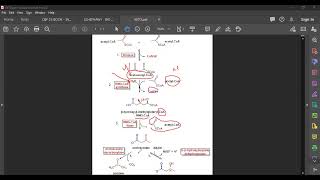 L60 Ketogenesis [upl. by Ondine]