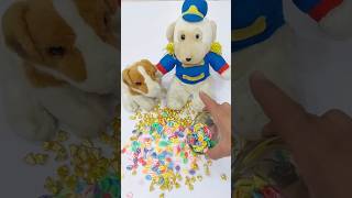 Marble Run Beads Reverse shorts youtubeshorts dkmarbleasmr [upl. by Naitsirc]