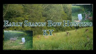 KY Early Season Deer Hunting  Hunting Over Food Plots [upl. by Tema668]