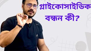 What is Glycosidic Bond ❓গ্লাইকোসাইডিক বন্ধন কী [upl. by Darum]