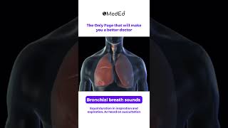 The Bronchial Breath Sound pwmeded [upl. by Karlik]