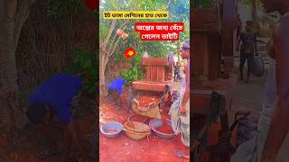 অল্পের জন্য বেঁচে গেলেন ভাইটিইট ভাঙ্গা যন্ত্র 3 [upl. by Esilana236]