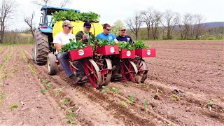 LIFE OF A VEGETABLE FARMER  PLANTING SEASON 2022 [upl. by Marget]