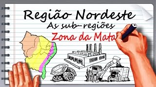 Região Nordeste  Aspectos econômicos parte 1 [upl. by Hgielah]