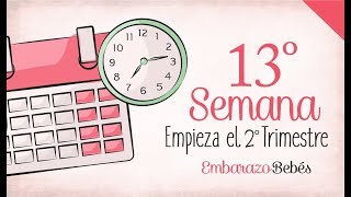 SEMANA 13 de Embarazo  3º Mes  Semana a semana [upl. by Bilek]