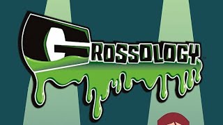 Grossology All Seasons Comparison [upl. by Ecilegna]