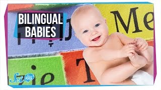 How Do Babies Become Bilingual [upl. by Riggs]