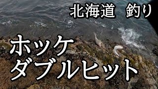 ホッケ爆釣！？と思いきや…【 北海道 釣り 】 [upl. by Monika]