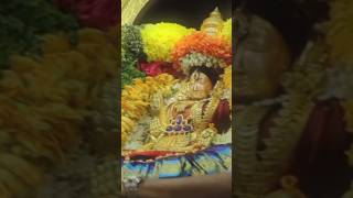 Get ready for the grand festival Sri Padmavathi ammavari birthday [upl. by Kasey194]