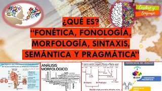 ¿Qué es Fonética Fonología Morfología Sintaxis Semántica Pragmática Temas sobre lenguaje [upl. by Zadack]