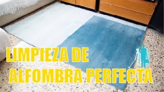 ¡MÁS FÁCIL DE LO QUE IMAGINAS Limpia las alfombras con estos trucos How to clean carpet [upl. by Johann]