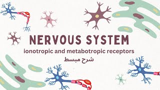 Ionotropic and Metabotropic receptors  شرح لمتسقبلات الخلايا العصبيه [upl. by Ykroc]