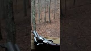 West Virginia doe hunt with 357 pistol [upl. by Mano]