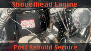 Lowrider Shovelhead Post Rebuild Service and Checkup Part 1 [upl. by Froh532]