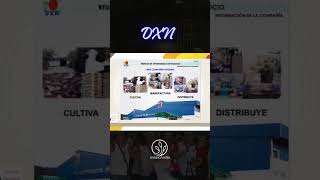 Network Marketing en DXN [upl. by Odella]