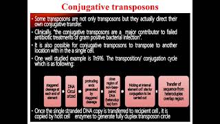 Conjugative transposons [upl. by Noyes]