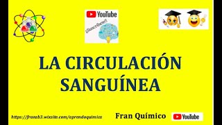 La circulación sanguínea [upl. by Donelle]