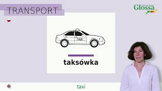 Środki transportu  Means of transport  Polish for beginners [upl. by Enimrej]