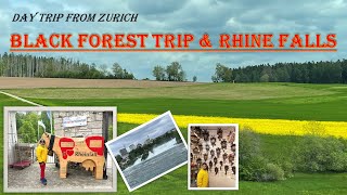 GERMANY BLACK FOREST  TITISEE visit  CUCKOO CLOCK RHINE FALLS  DAY TRIP FROM ZURICH [upl. by Naujuj832]