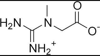 121 Creatine [upl. by Pete]