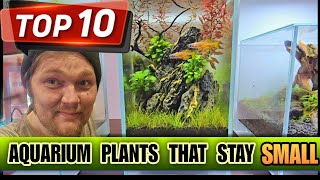 Miniture Aquarium Plants That Stay Small 10 Perfect Aquascape Foreground Carpet or Nano Tank [upl. by Chon]