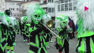 Rosenmontagsumzug 2018 in Böblingen [upl. by Archibald]