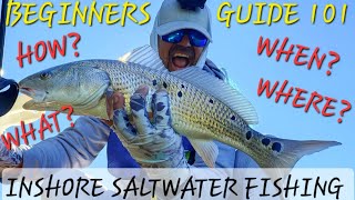 Beginners Guide To Inshore Saltwater Fishing 101 Where When What How [upl. by Nitsud]