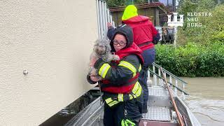 Hochwasser 2024 Klosterneuburg [upl. by Notle]