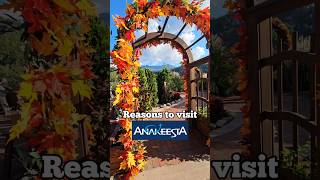 Reasons to Visit Anakeesta in Gatlinburg Tennessee [upl. by Banyaz]