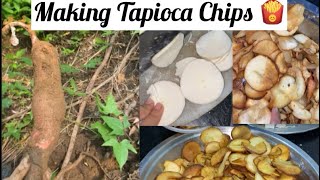 Making Tapioca chips 🍟😁😋very crunchy amp crispy😋yummy🤤 homemade Tapioca chips arunachalpradesh chips [upl. by Betta]