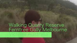 Walking Quarry Reserve Ferntree Gully [upl. by Gardia]