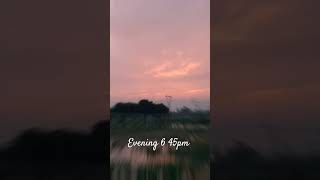 👉👀🤫💯 evening star videography evening sunset evryone shorts youtube videography [upl. by Leede]