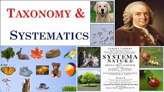 Taxonomy  Systematics  Carolus Linnaeus  Part 1 [upl. by Maximilien]