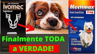 RESUMO IVERMECTINA PARA CÃES  Benefícios para o Cachorro [upl. by Endres]