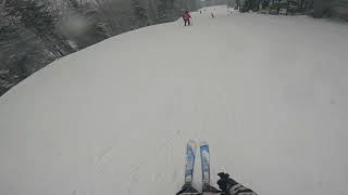 Racing down Gandy Dancer at Snowshoe Wv [upl. by Nalo]